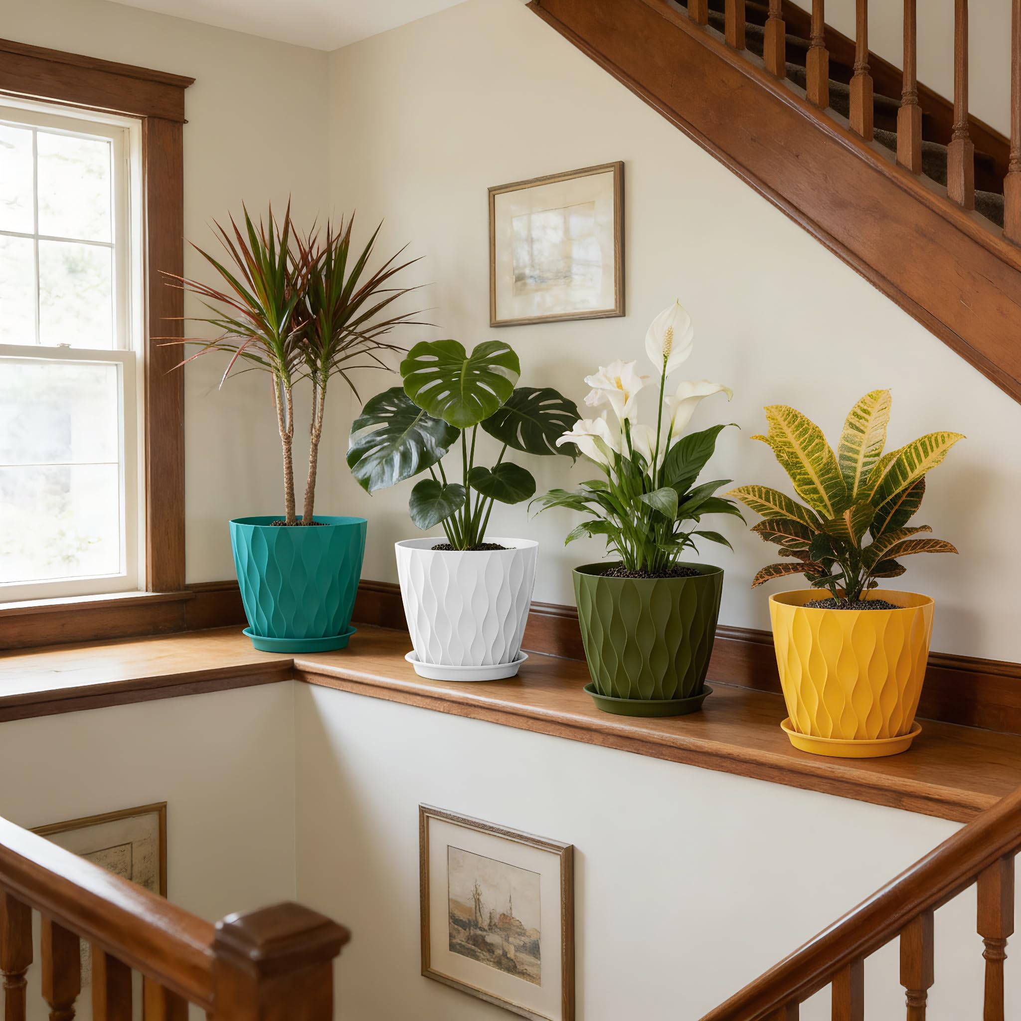 UOUZ fiddle-leaf fig in a stylish 8-inch plant pot.