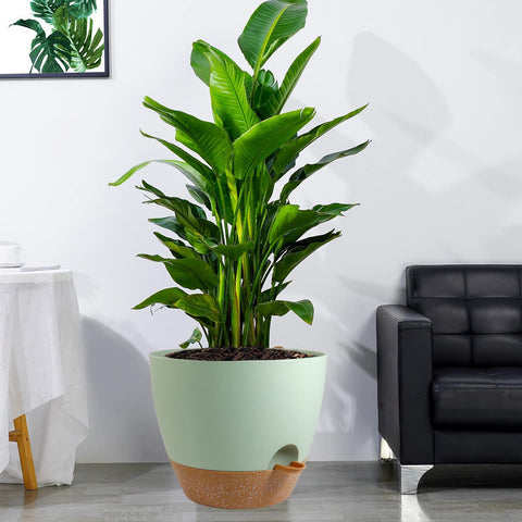 Green and brown decorative container suitable for indoor or outdoor decor