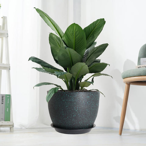 UOUZ versatile indoor/outdoor plant pot for windowsills or balconies.