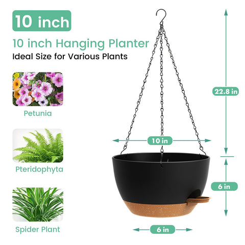 UOUZ compatible with ivy, pothos, and ferns for versatile arrangements.