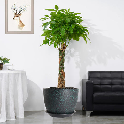 UOUZ matte-finish exterior plant pot complements contemporary decor.