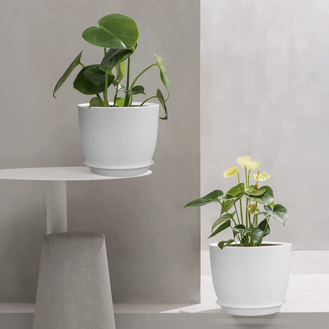 UOUZ matte-finish white planter offers durable, lightweight versatility.