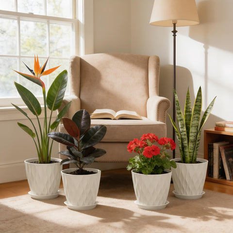 UOUZ minimalist white planter enhances home decor