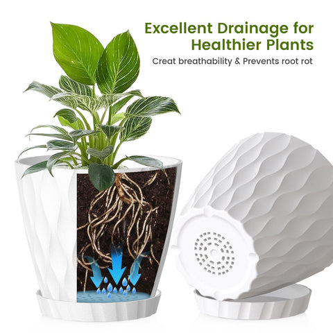 UOUZ 8inch plant pot ideal for Monstera deliciosa growth