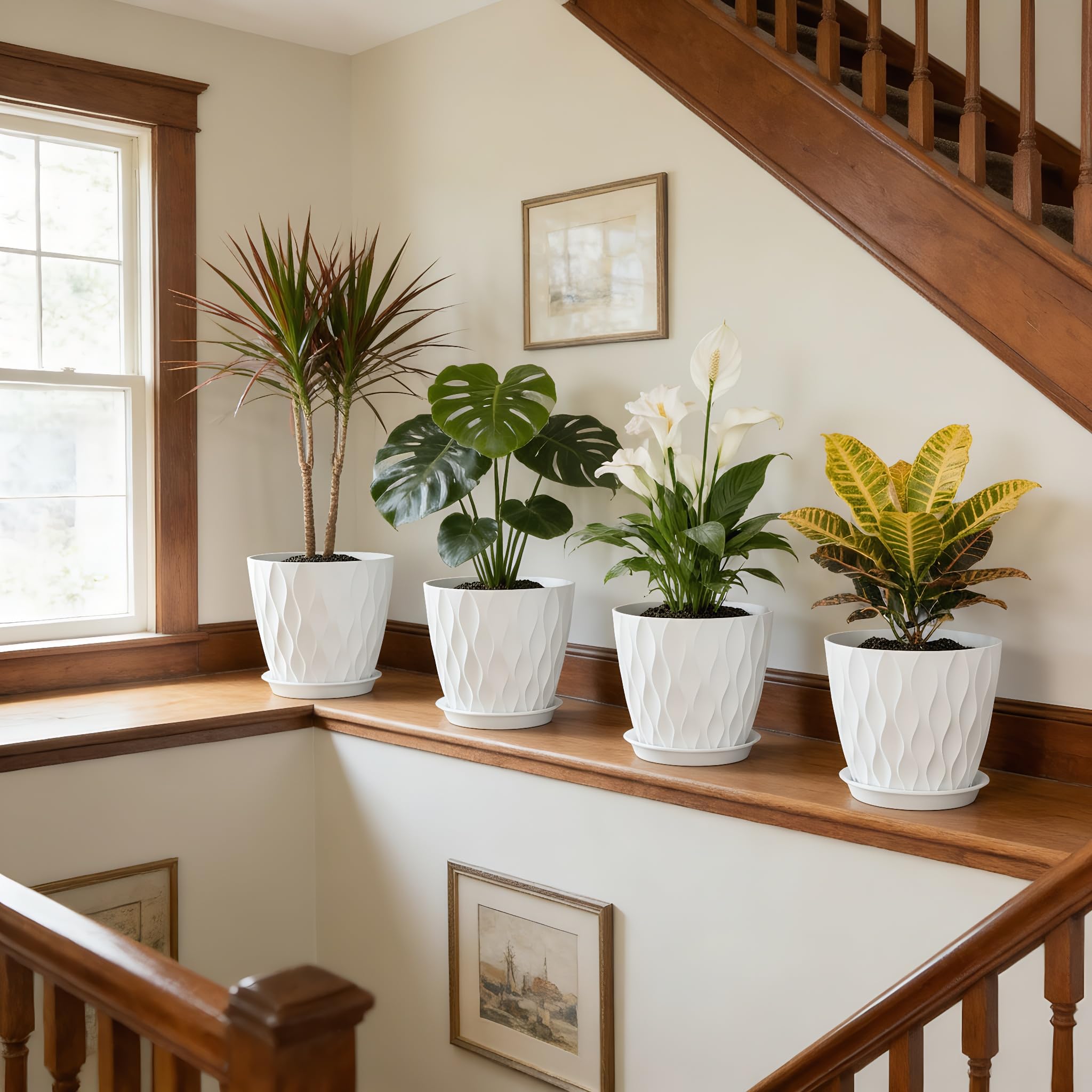 UOUZ monstera deliciosa pot designed for easy transplantation