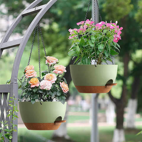Ideal for apartments, balconies, or garden corners where you want lush, low-maintenance plants.