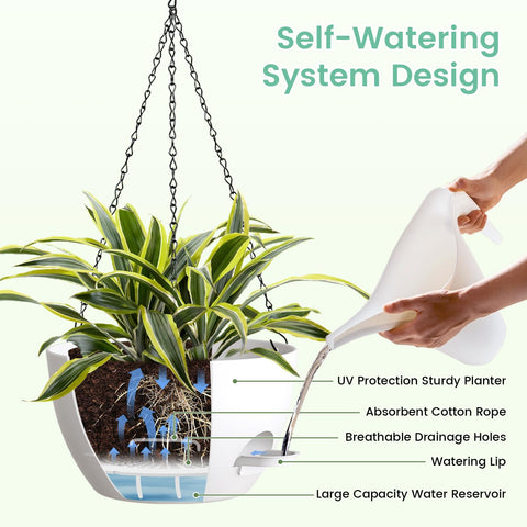 UOUZ planter with water reservoir helps spider plants stay vibrant between waterings.