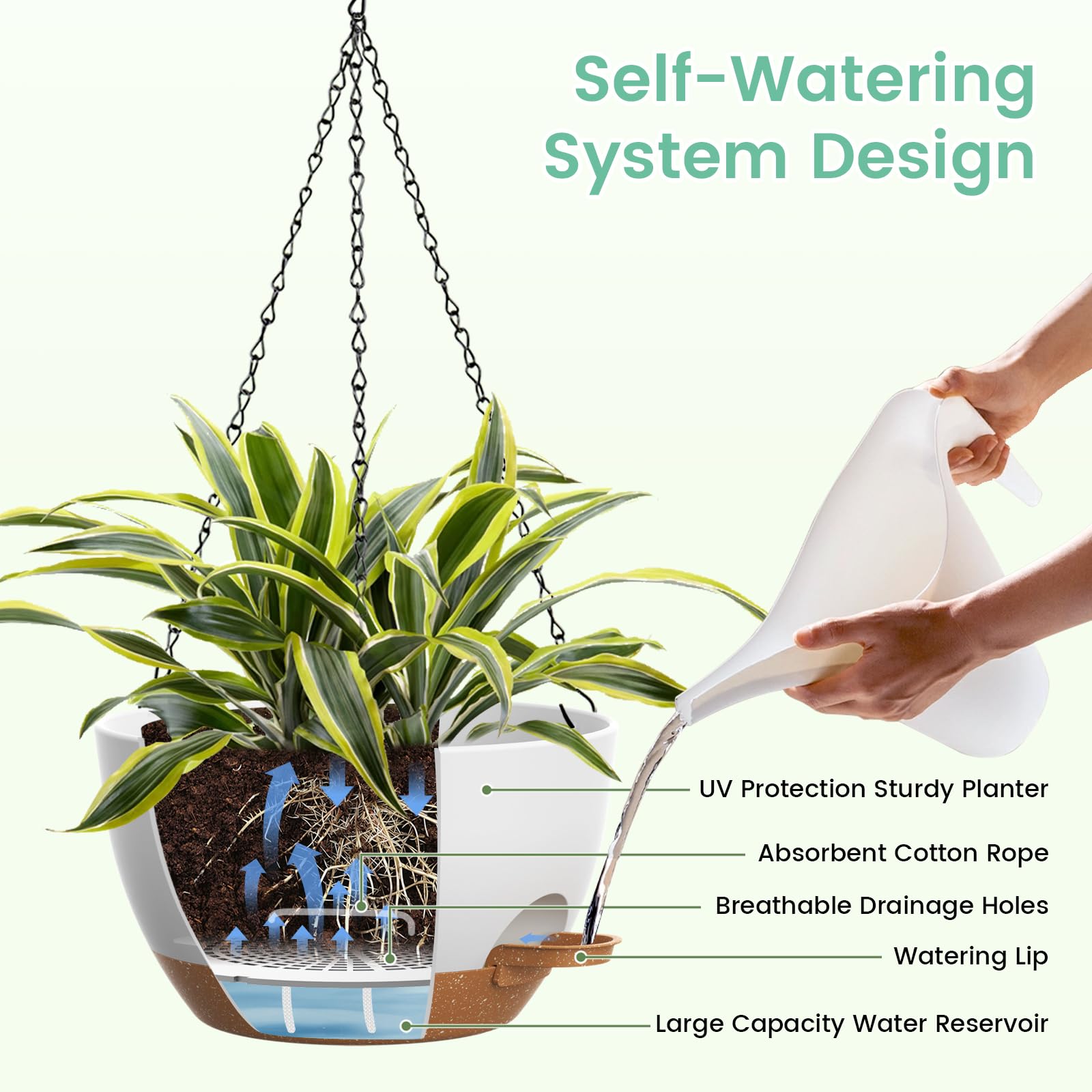 UOUZ pothos and ferns thrive in this hanging pot setup