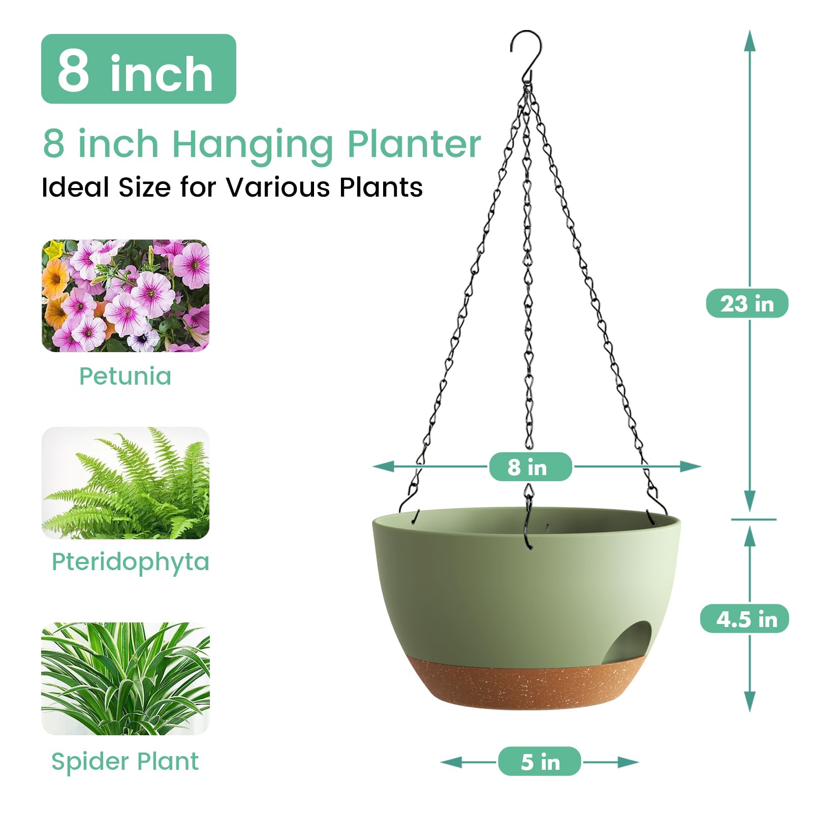 UOUZ planter with removable saucer, easy cleaning and spill control.