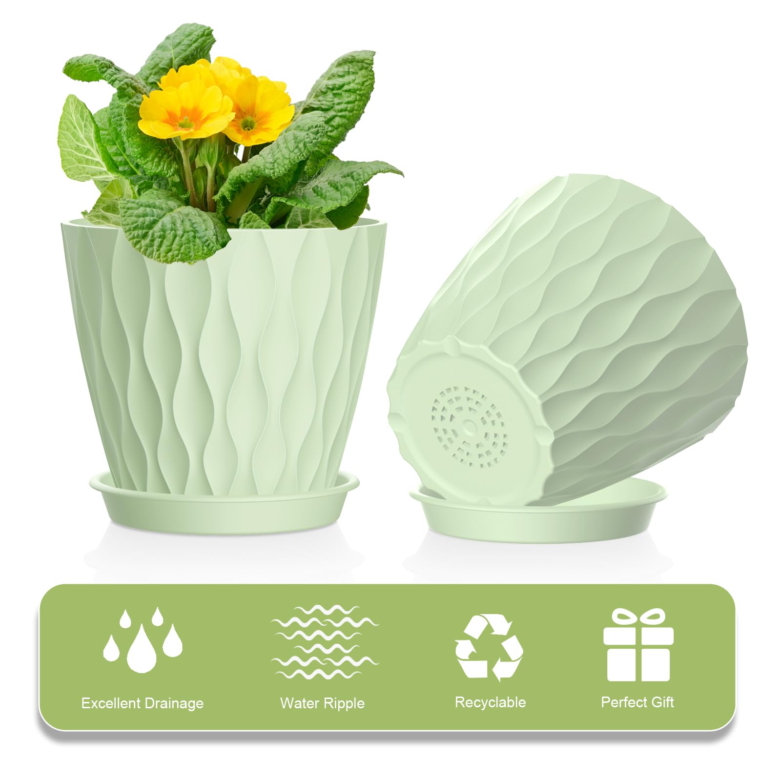 UOUZ removable saucers simplify maintenance and prevent spills.