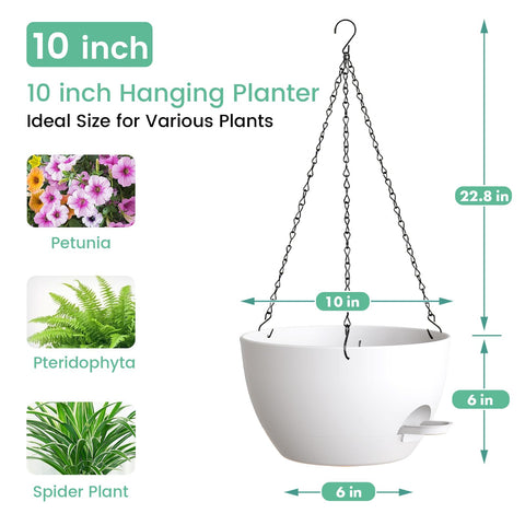 UOUZ self-watering planter for indoor or outdoor use supports thriving pothos.