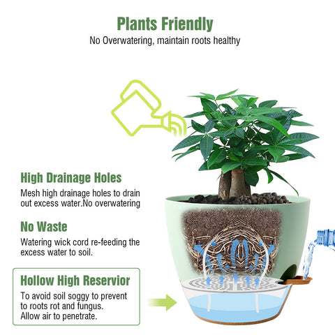 Built-in self-watering tray protects surfaces during watering
