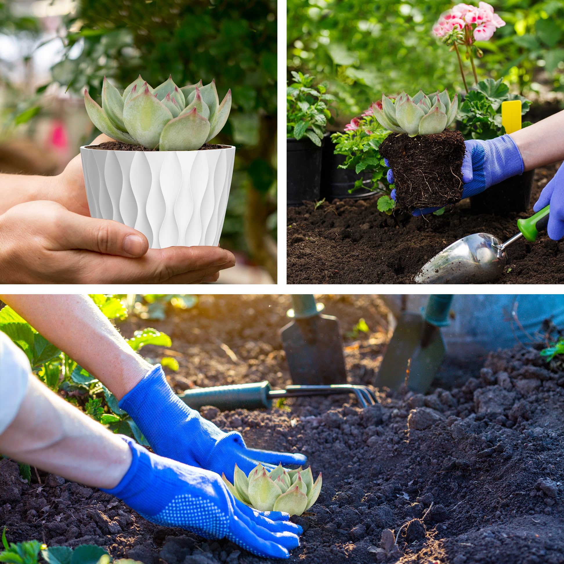 UOUZ six-pack small pots ideal for compact herb displays.