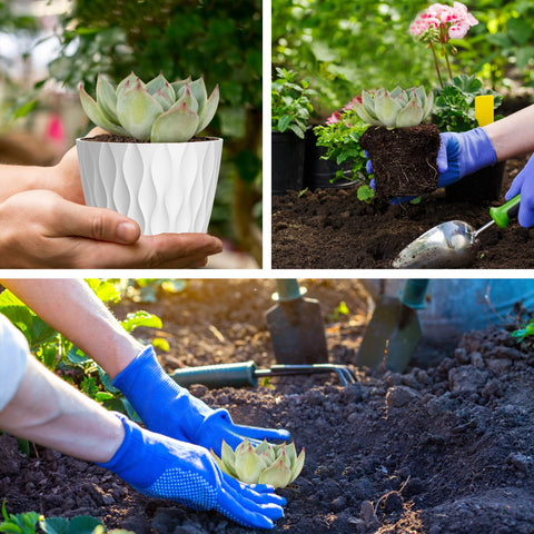 UOUZ six-pack small pots ideal for compact herb displays.