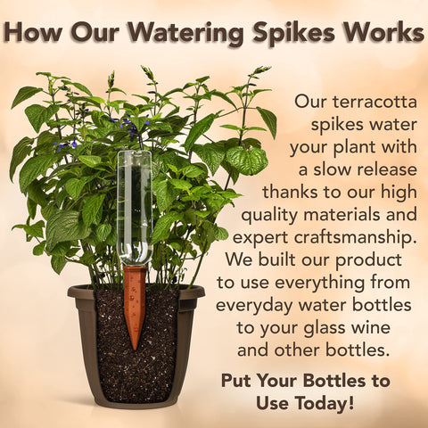 Upforesy indoor-plants-watering-setup keeps container pots hydrated between waterings.