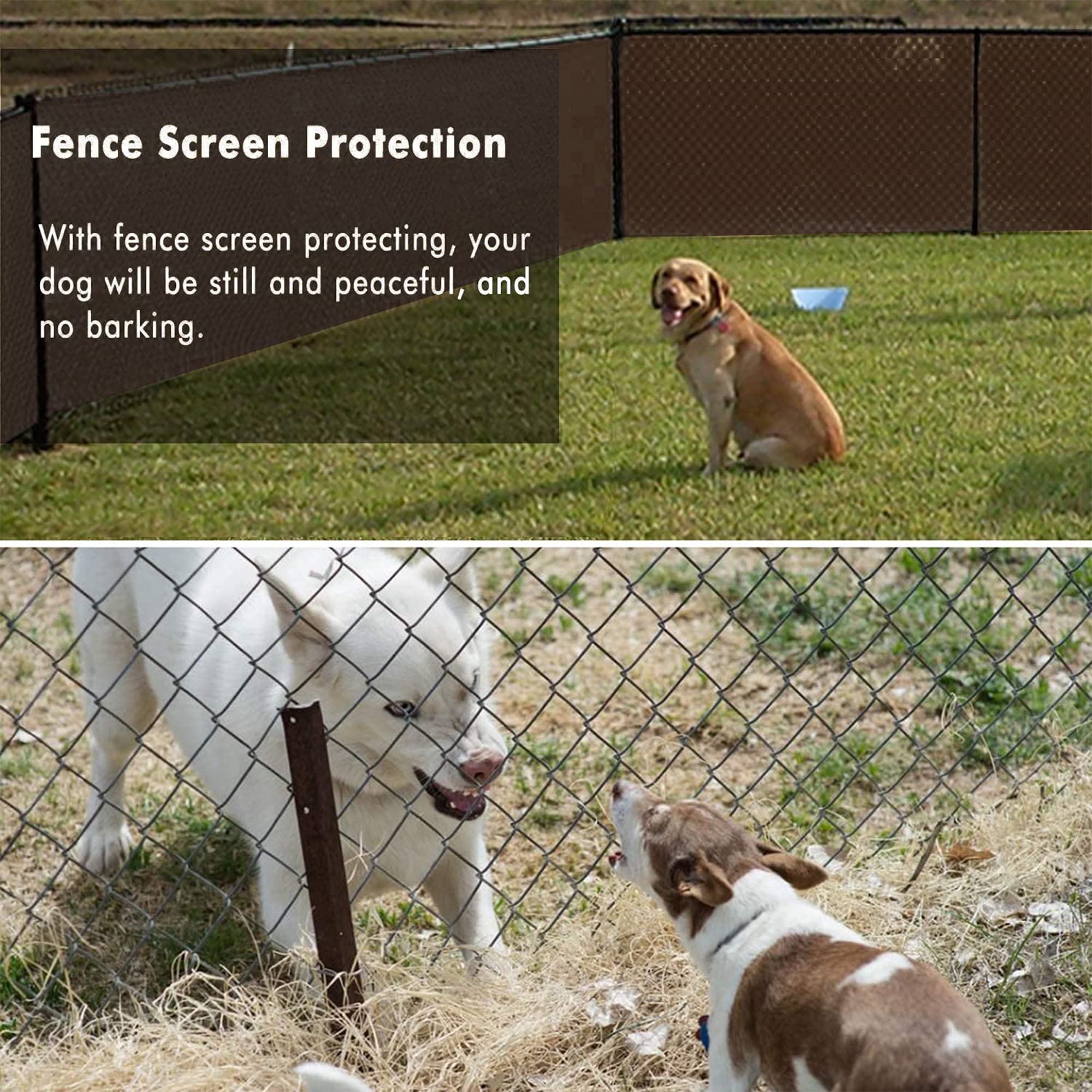 UPGRADE privacy screen for yard and garden shields pets and creates seclusion
