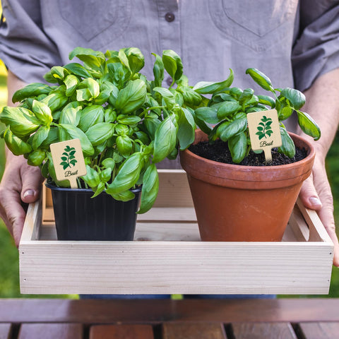 UPINS gift-ready markers for gardeners add practical style to gardens.