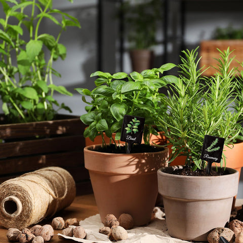 UPINS herb-name labels show oregano, basil, mint, aiding quick plant identification