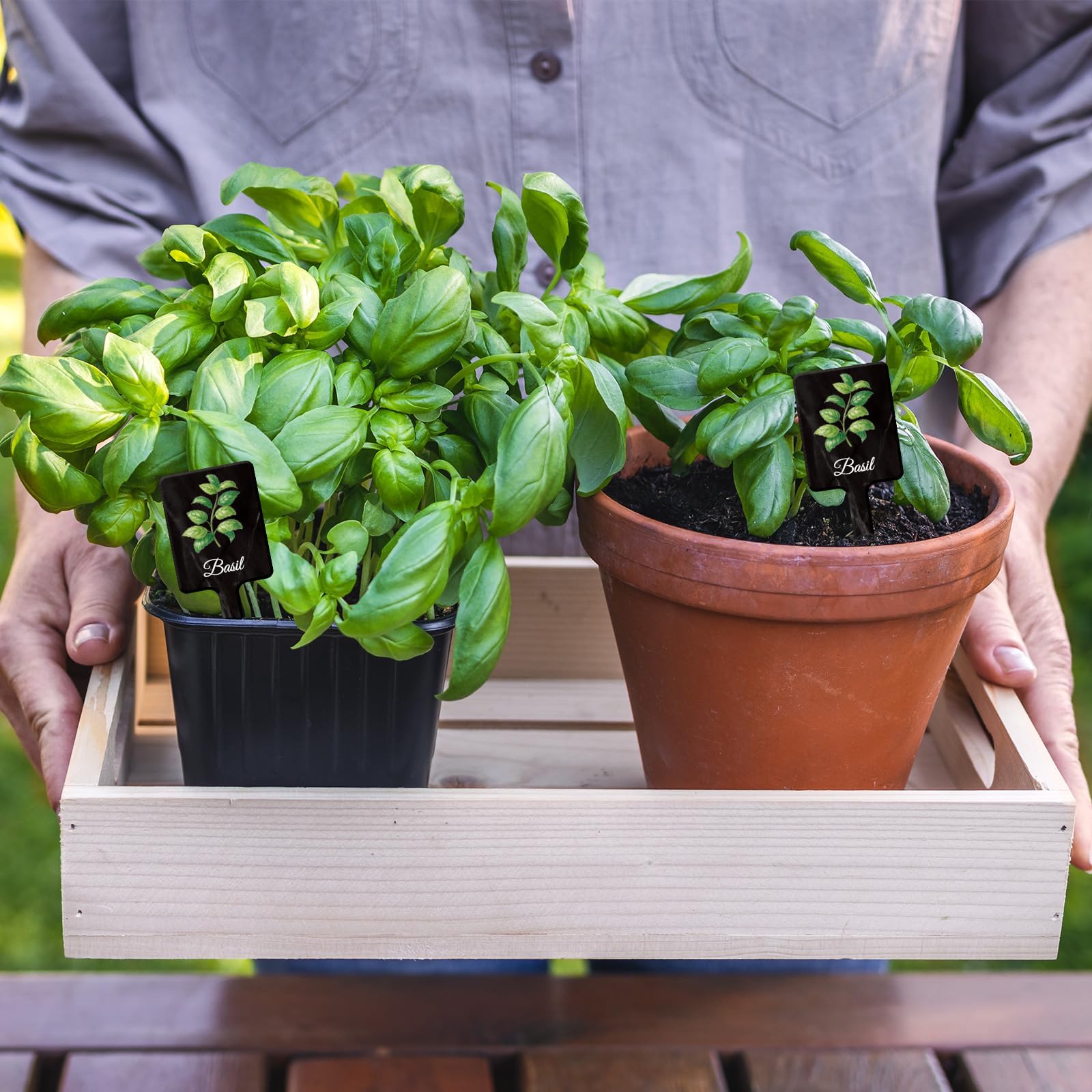 UPINS potted-plant labels simplify care tasks and gift-ready gardening