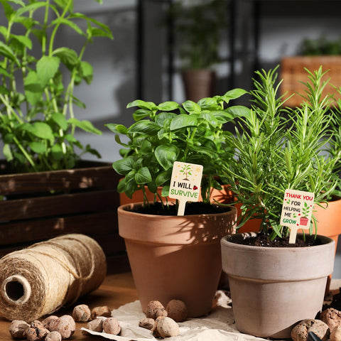 UPINS succulent and seedling labels organize pots and planters with style.