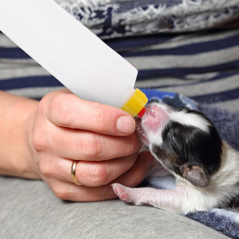 UPKOCH Multi-animal feeding kit saves time by coordinating several animals.