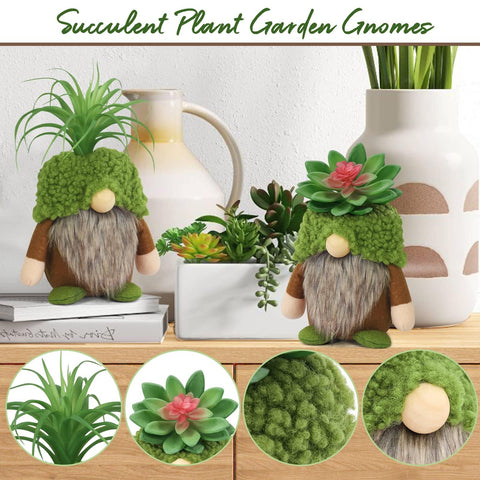 Upltowtme air plant gnome brings greenery without watering.
