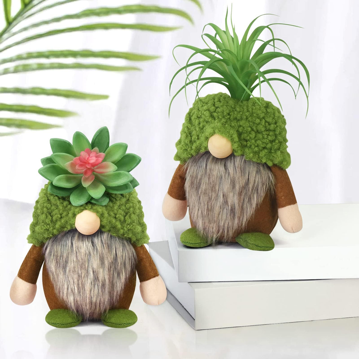 Upltowtme succulent gnomes brighten shelves and desks with spring charm.