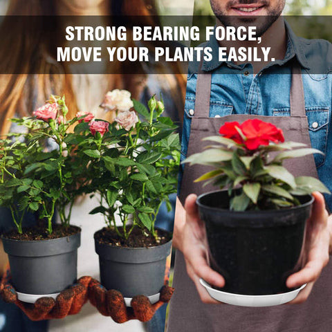 UPMCT 10-inch white plant saucer supports large pots and protects floors.