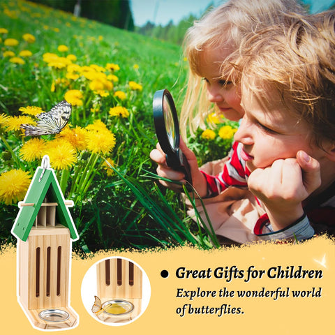 UQM butterfly observation area lets kids explore life cycles.