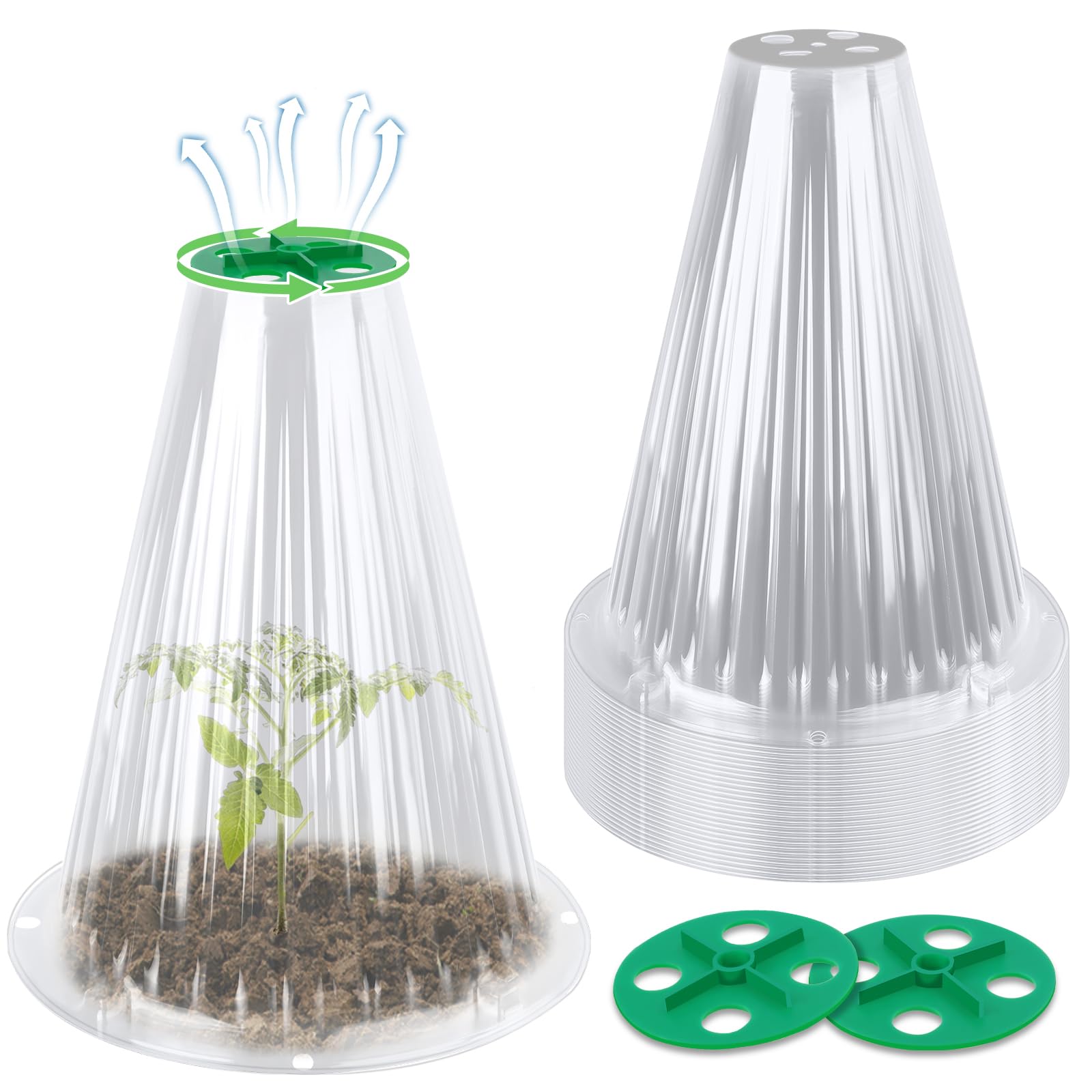 UQM garden cloche 30-pack shields seedlings while admitting light