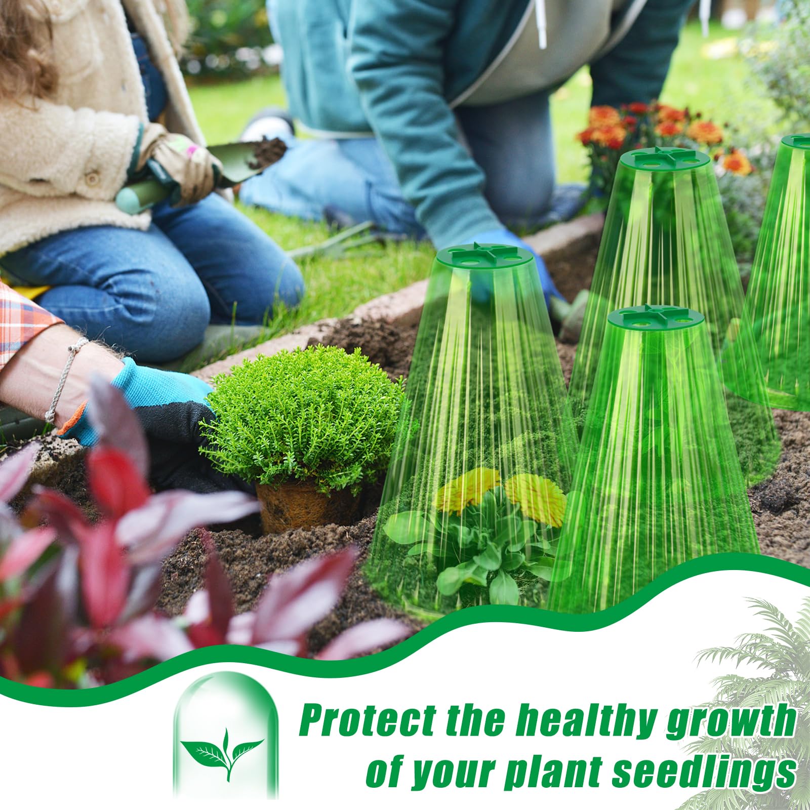 UQM pest-protection cloche shielding plants from snails and birds