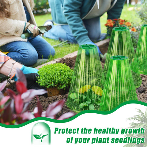 UQM pest-protection cloche shielding plants from snails and birds