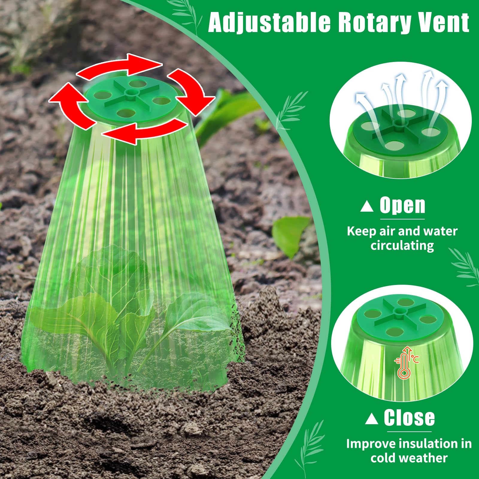 UQM transparent green cloche lets light through for healthy growth