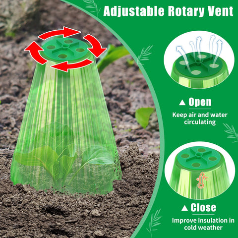 UQM transparent green cloche lets light through for healthy growth