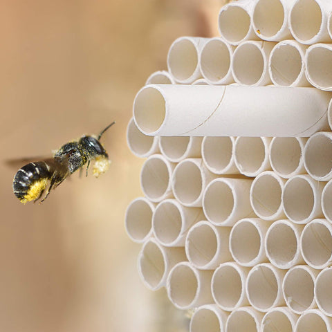 URATOT easy-to-replace nesting inserts simplify maintenance for beekeepers