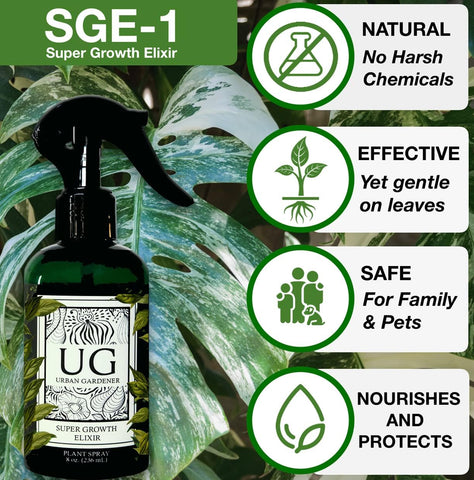 Urban Gardener Fine Mist Spray Action evenly coats leaves for consistent care.