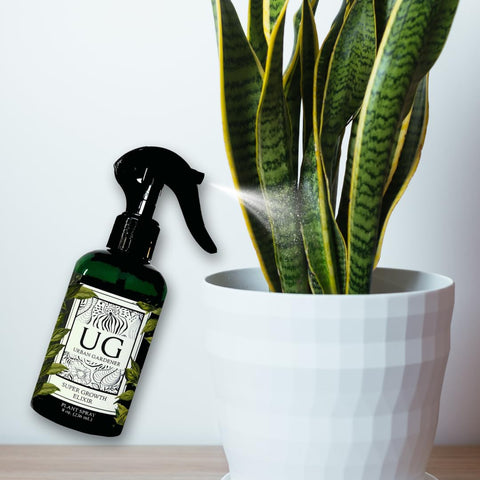 Urban Gardener Indoor Plants Growth Support suggests bigger, healthier foliage.