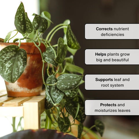 Urban Gardener Natural Ingredients Chitosan highlights a plant-safe formula.