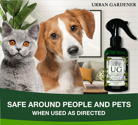 Urban Gardener Plant Care Routine supports easy, stress-free maintenance.