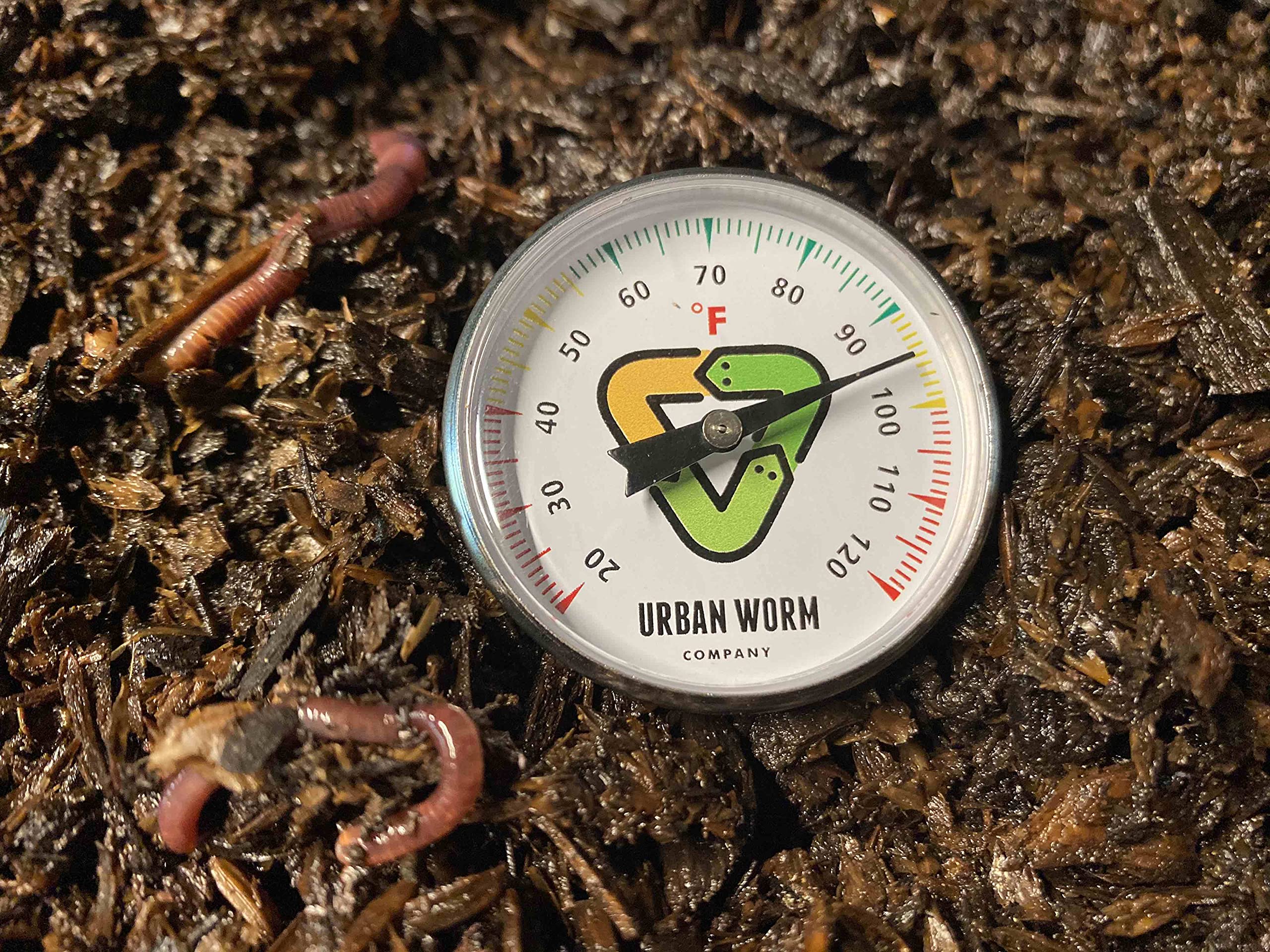 Urban Worm soil thermometer in a garden bed guiding soil warmth for plant health.