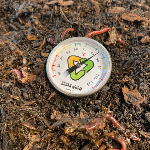 Urban Worm thermometer placed in a worm bin setup for stable habitat conditions.