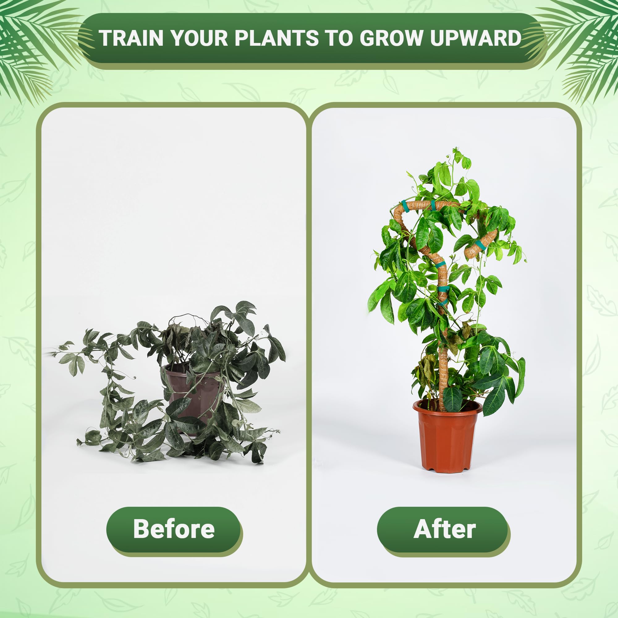 Urban Gloom coco coir moss pole highlights natural grow surface for aerial roots.