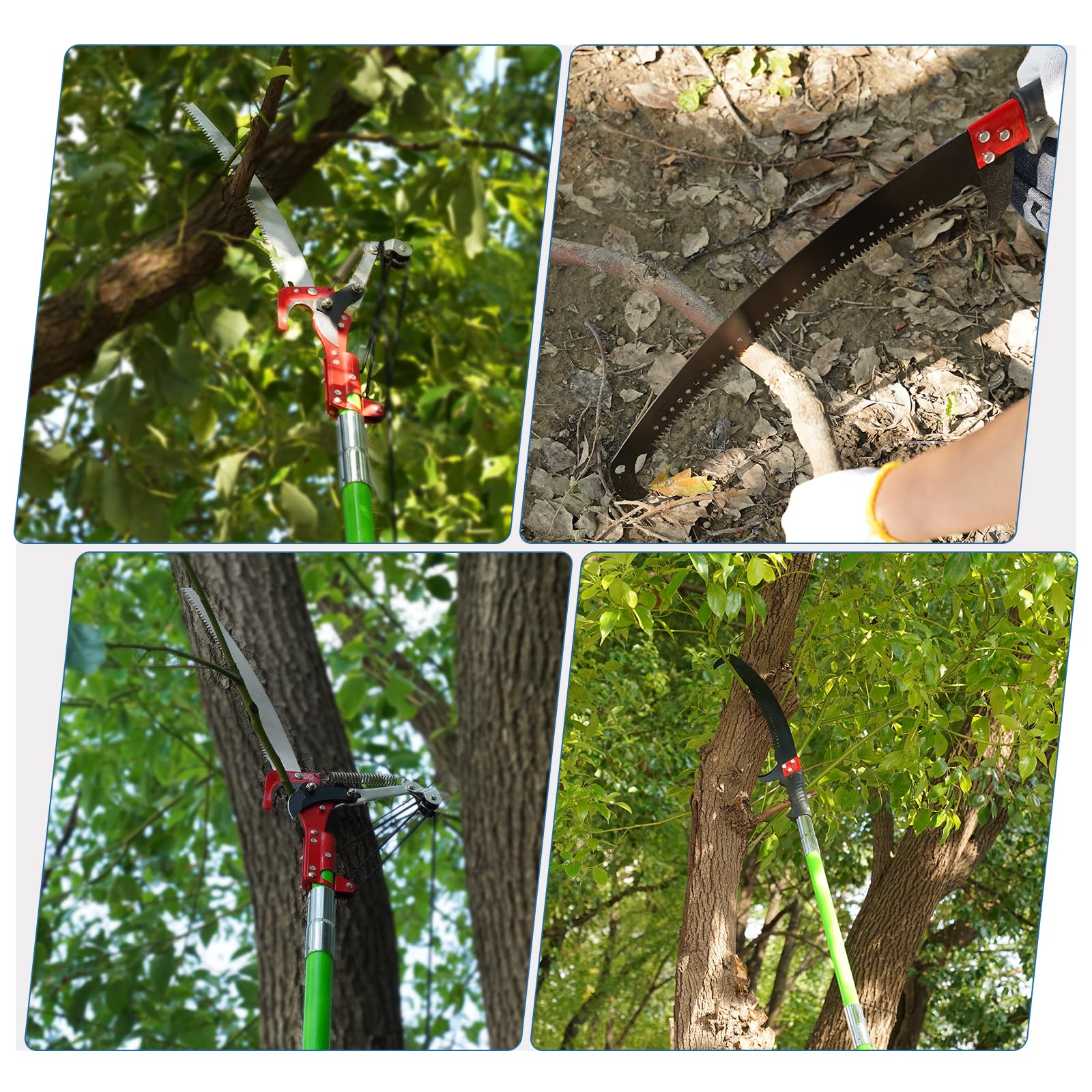 URBANVISTA no ladders needed for safe pruning of tall trees