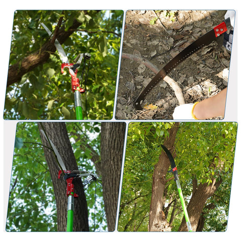 URBANVISTA no ladders needed for safe pruning of tall trees