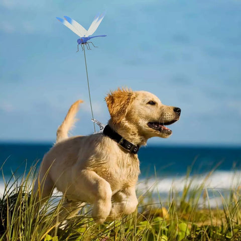 Urnuos dragonfly clip features a durable design for daily use