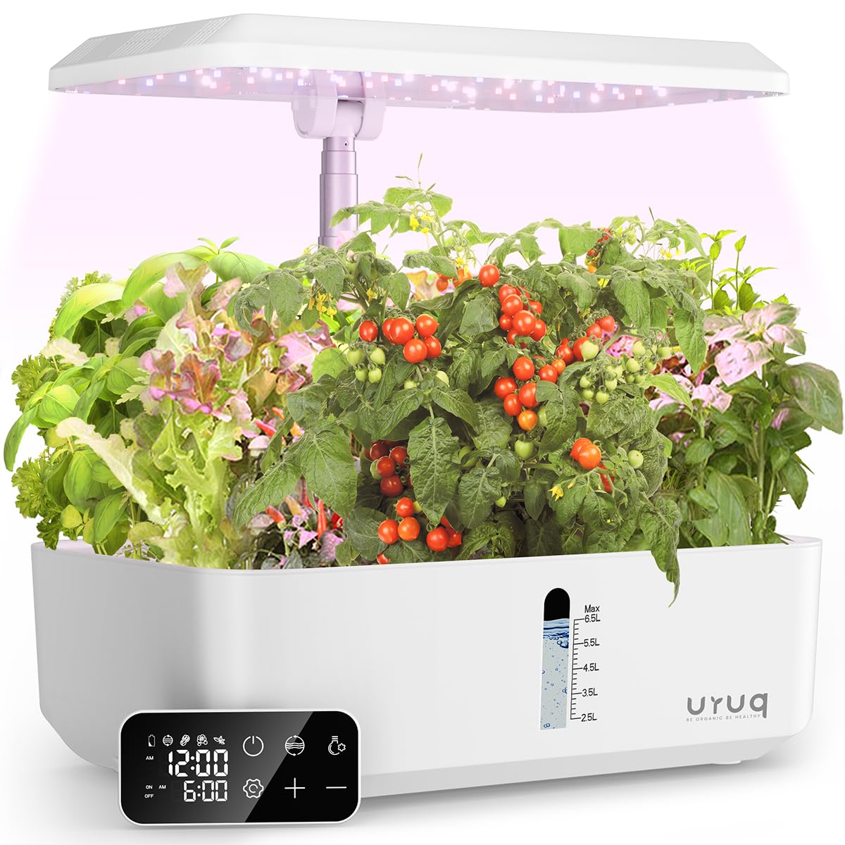 URUQ 12-pod hydroponics system wide view shows compact indoor garden for fresh herbs.