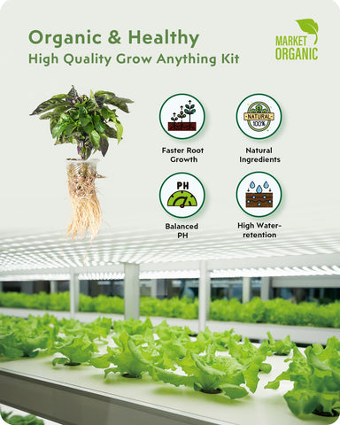 URUQ grow baskets shown inside compact indoor garden setup