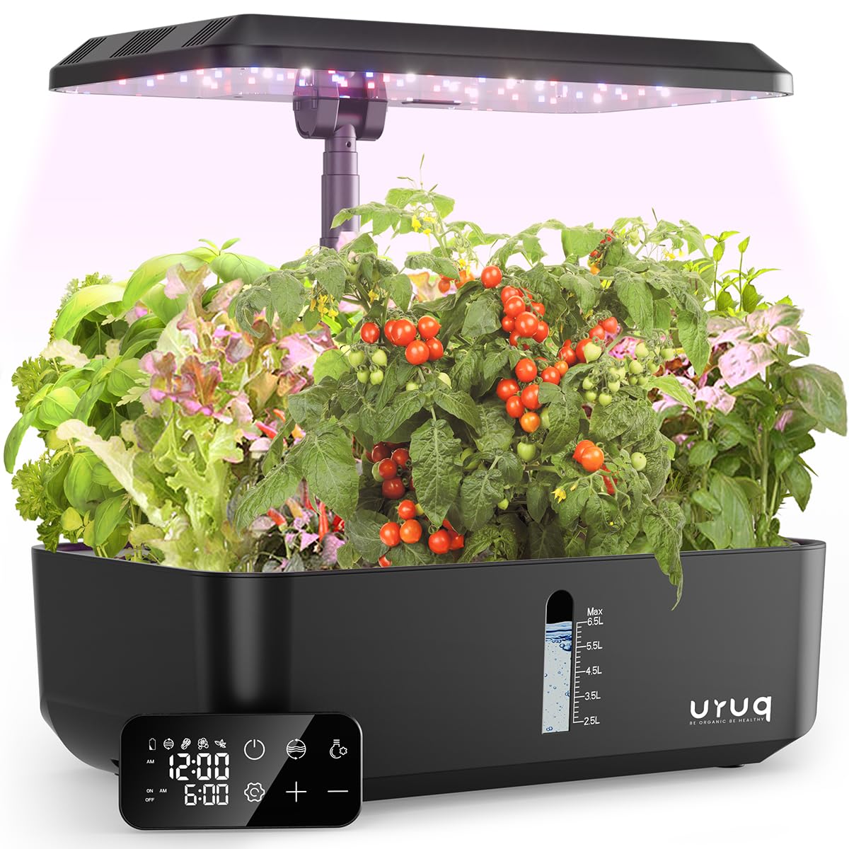URUQ 12-pod hydroponics system front view, compact indoor garden for fresh herbs