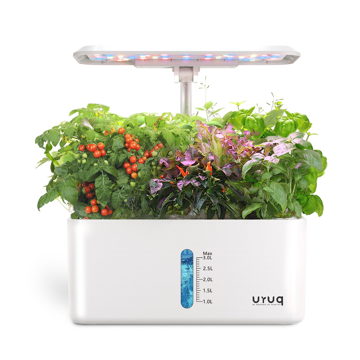 URUQ Hydroponics indoor garden system shown in full setup for year-round fresh herbs.