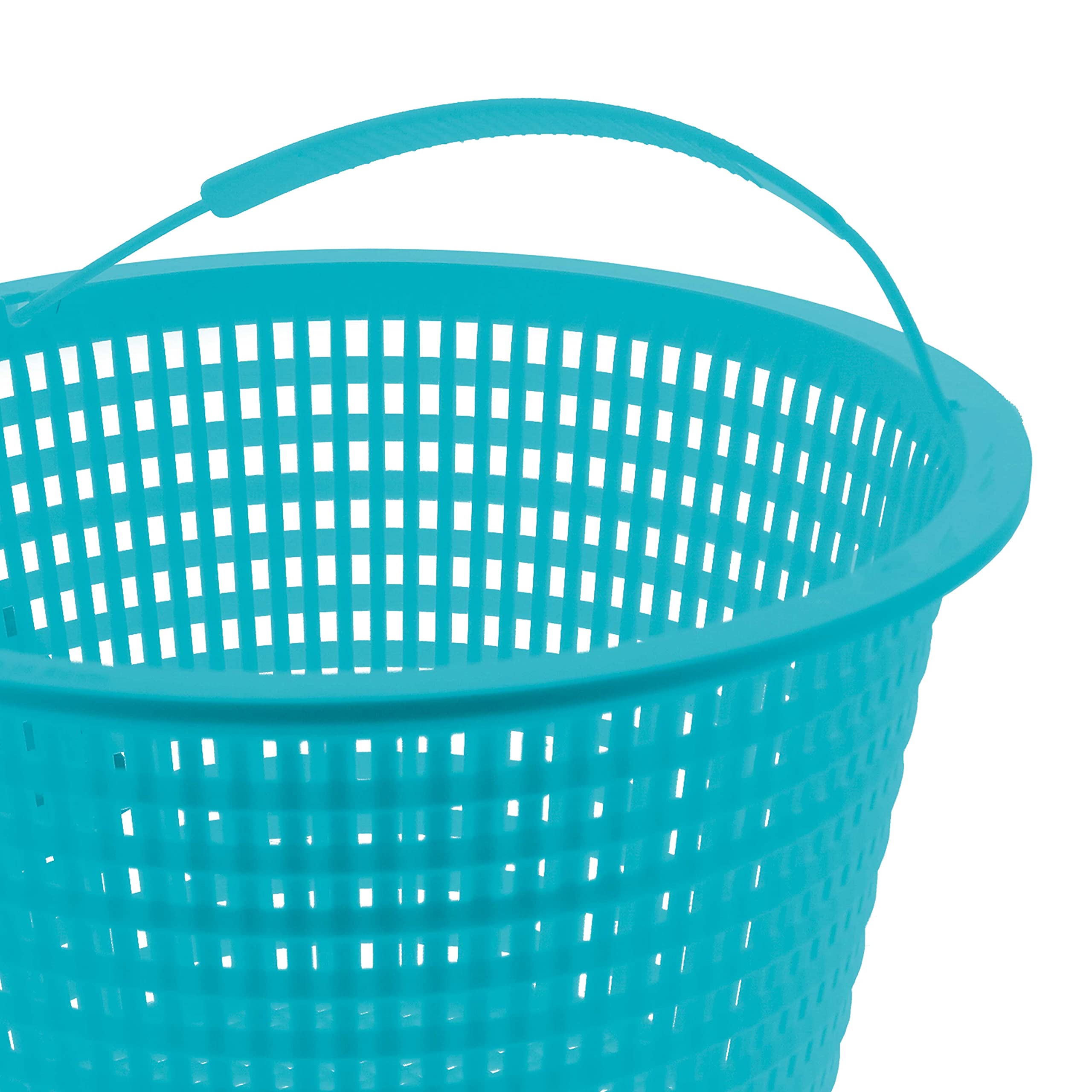 In-use shot of teal blue skimmer basket catching leaves before reaching the pump.
